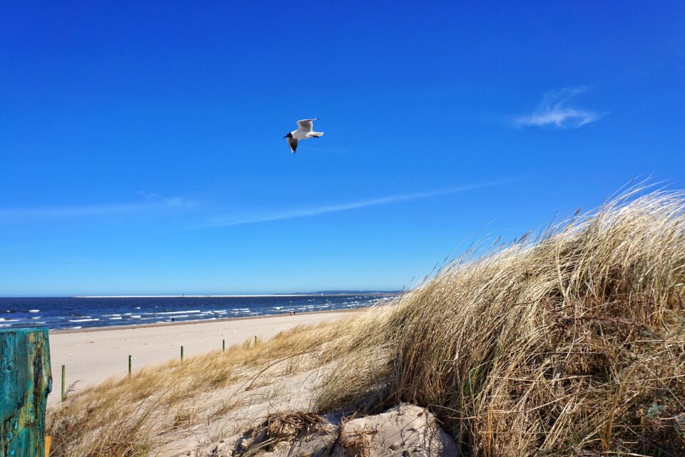 Poland vacations baltic sea