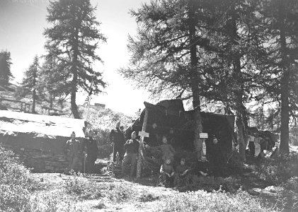 Zelte der Stabskompanie - CH-BAR - 3239828