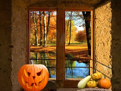 Window sill the autumn window nature photo