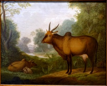 Zebu by Christian Wilhelm Kehrer, 1820, oil on canvas - Hessisches Landesmuseum Darmstadt - Darmstadt, Germany - DSC00079