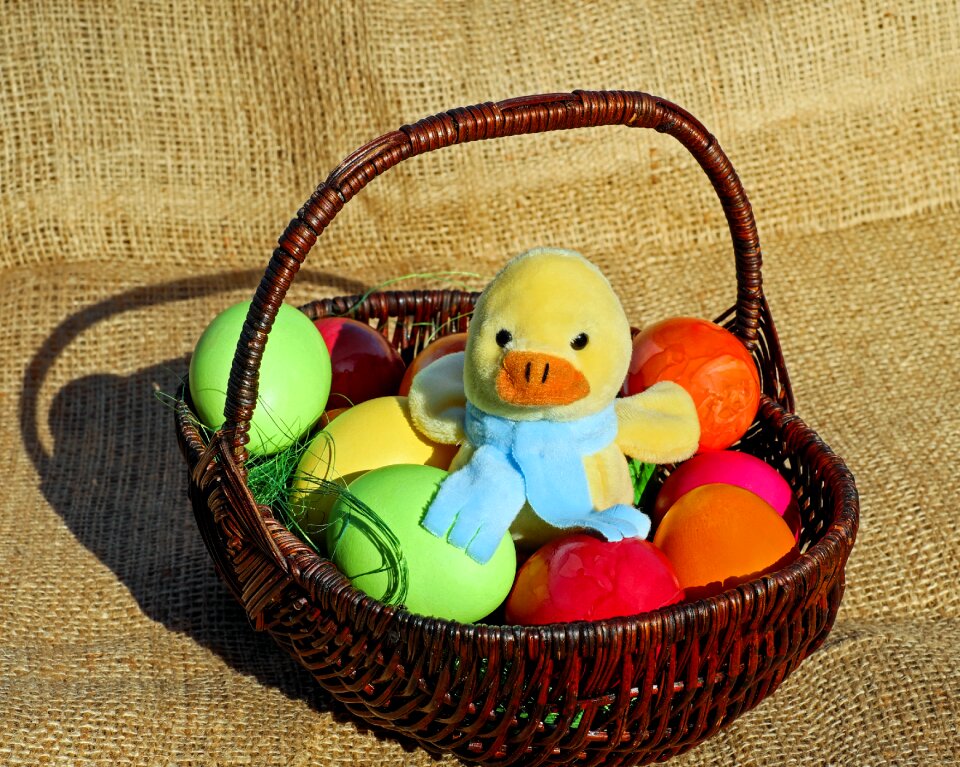 Chicken stuffed animal sitting