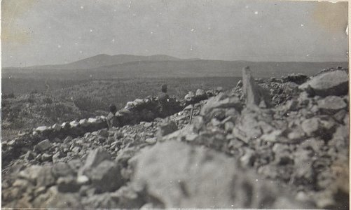 Zerschossener Schützengraben am Karst.24.8.17. (BildID 15598344)