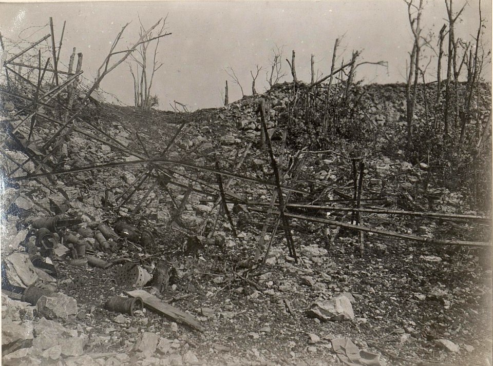 Zerschossener Drahtverhau bei Kostanjevica.26.8.17. (BildID 15599737)