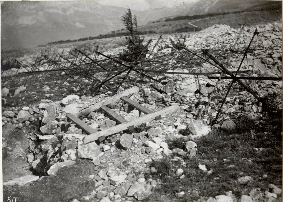 Zerst.Sappe einer Stellung im Ternovanerwalde. 4.9.17. (BildID 15601947)