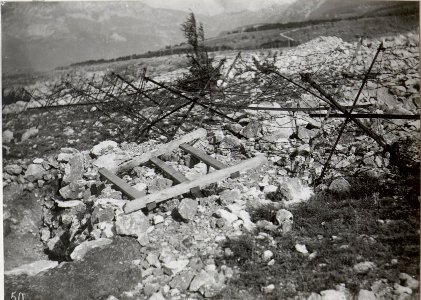 Zerst.Sappe einer Stellung im Ternovanerwalde. 4.9.17. (BildID 15601947)