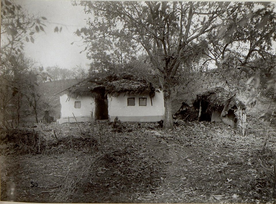 Zerstörtes Huzulenhaus in der Front (BildID 15654602)