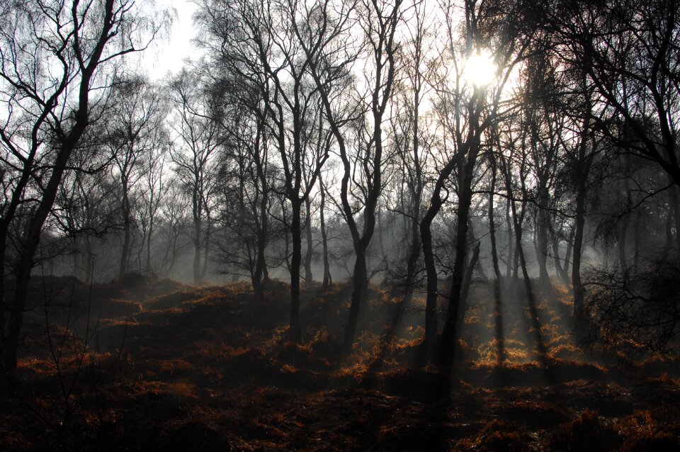 Fog cold weather