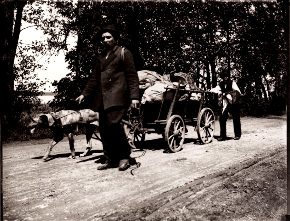 Zille, Heinrich - Ungewohnter Blick auf Gewohntes, Hausierer mit Hundegespann (Zeno Fotografie)