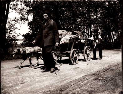 Zille, Heinrich - Ungewohnter Blick auf Gewohntes, Hausierer mit Hundegespann (Zeno Fotografie)