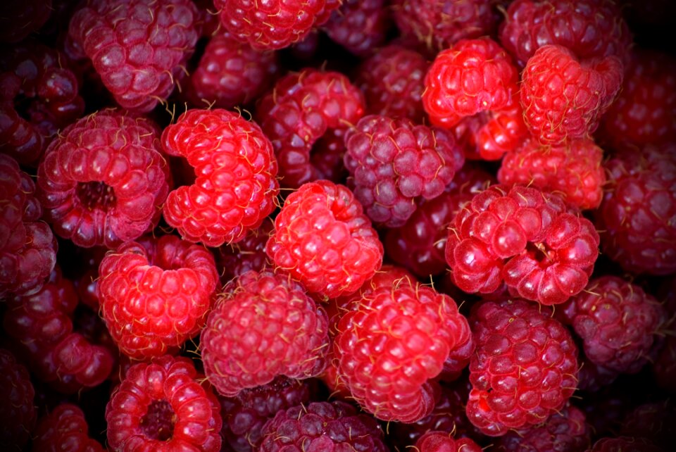 Dessert healthy tasty