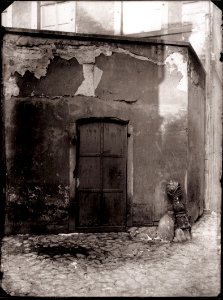 Zille, Heinrich - Krögel und Altberliner Höfe, Mauern in der Krögelgasse (1) (Zeno Fotografie)