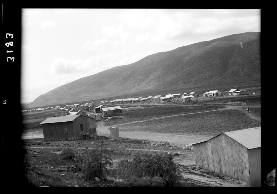 Zionist activities around Haifa. Yanjur (ie., Yajur) Colony. Workers' settlement east of Haifa LOC matpc.15212