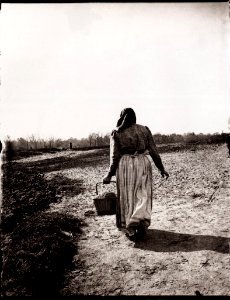 Zille, Heinrich - Charlottenburg – Reisigsammlerinnen, Frau auf dem Weg in den Grunewald (Zeno Fotografie)