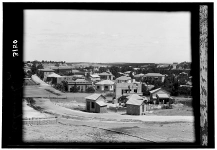 Zionist colonies on Sharon. Rehoboth. A center of orange culture and packing LOC matpc.15194
