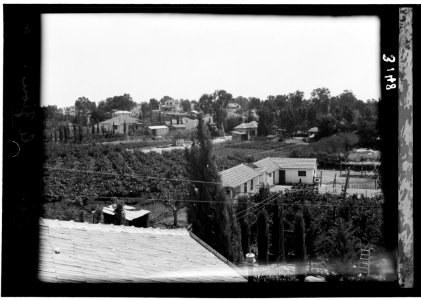 Zionist colonies on Sharon. Rishon-le-Zion. General view LOC matpc.15192