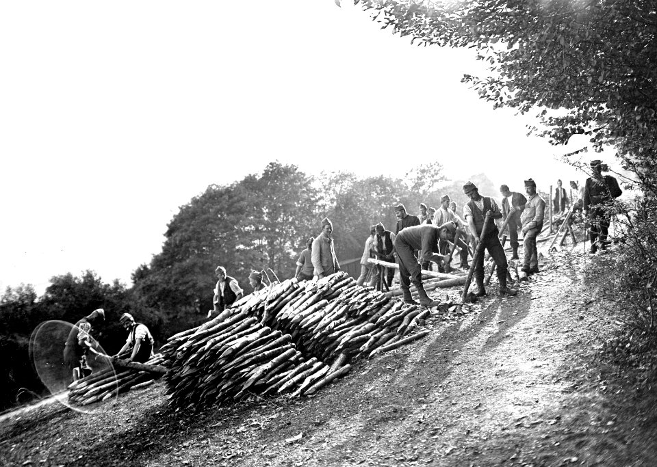 Zimmerleute bereiten Pfähle für den Schützengrabenbau vor - CH-BAR - 3240104