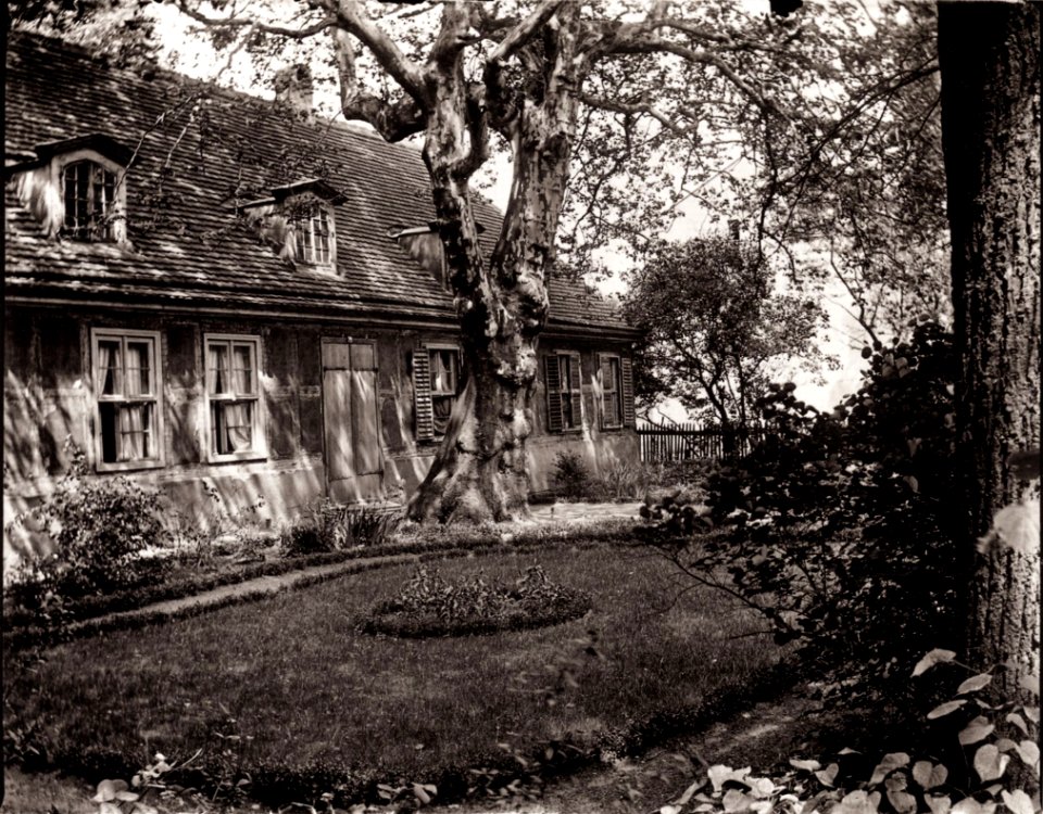 Zille, Heinrich - Familie und Lebensbereich, Landhaus mit altem Baum (Zeno Fotografie)