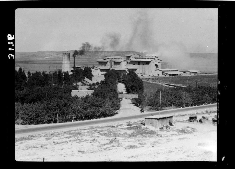 Zionist activities around Haifa. Haifa, The Nesher Cement Works. 'Eagle' LOC matpc.15207