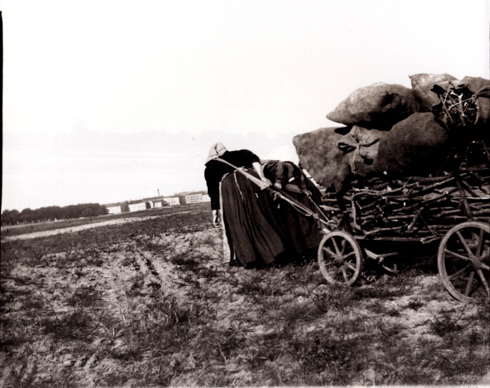 Zille, Heinrich - Charlottenburg – Reisigsammlerinnen, Zwei Frauen mit Holzfuhre (Zeno Fotografie)
