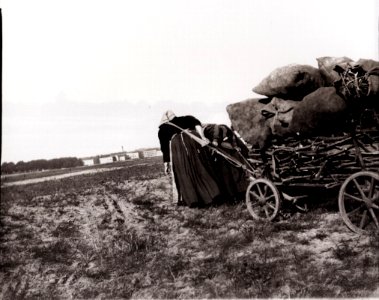 Zille, Heinrich - Charlottenburg – Reisigsammlerinnen, Zwei Frauen mit Holzfuhre (Zeno Fotografie)