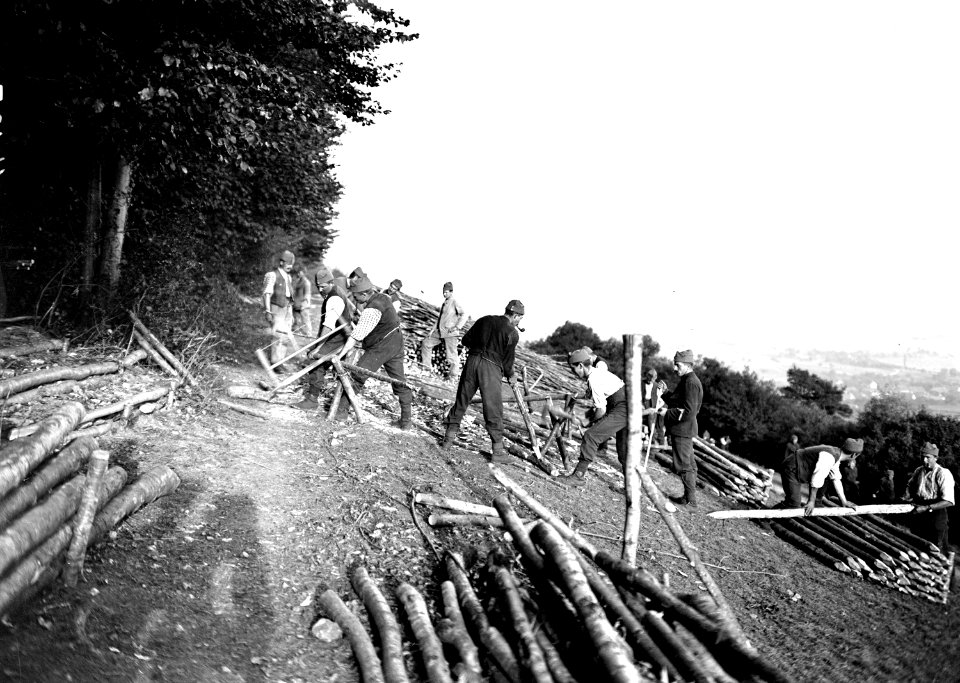 Zimmerleute beim Vorbereiten von Pfählen für den Schützengrabenbau - CH-BAR - 3240113