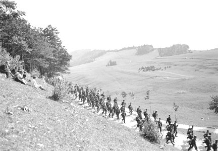 Zivilisten beobachten die vorbeimarschierenden Infanteristen - CH-BAR - 3239994