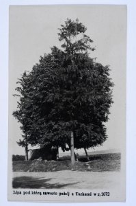 Zolota-Lypa-1930r-001