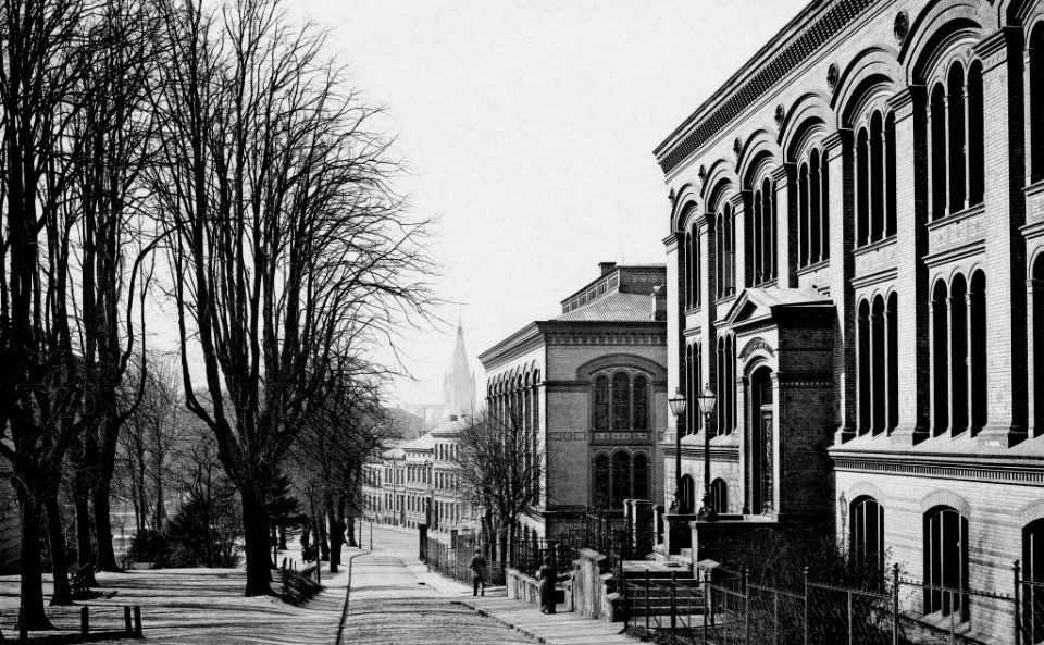Zoologisches Institut mit Museum und Universitätsbibliothek an der Hegewischstraße (Kiel 44.880)