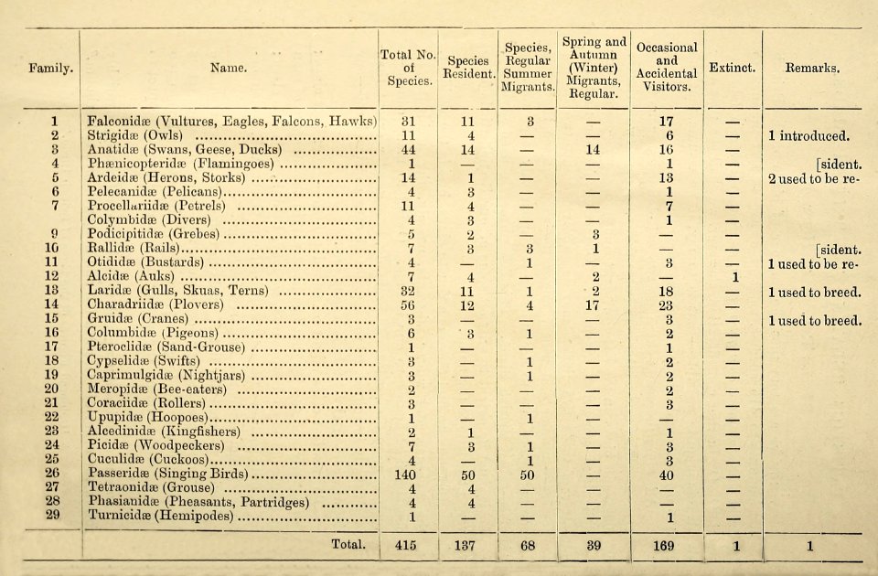 Zoologistmont46190260lond 086