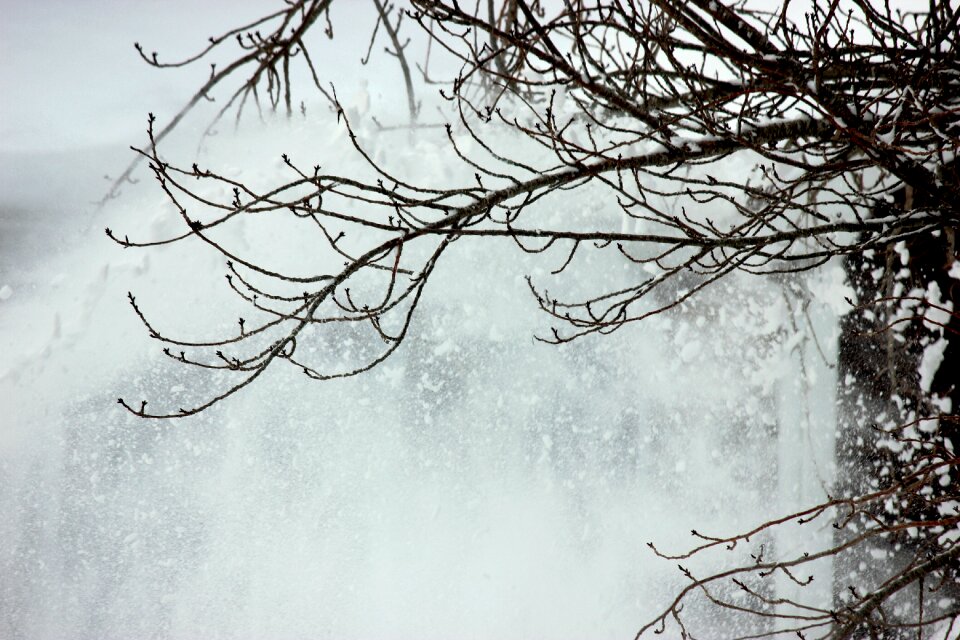 Landscape outdoor december