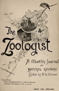 Zoologist4th series, vol 5 551
