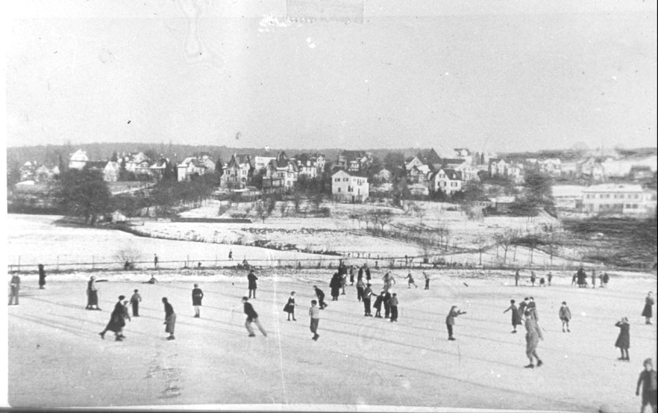 Zollikon Riet Winter