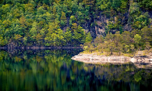 View summer nature