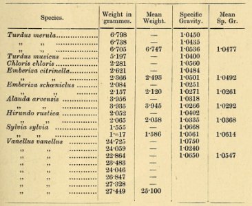 Zoologist4th series, vol 5 135