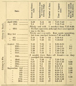 Zoologist4th series, vol 5 076