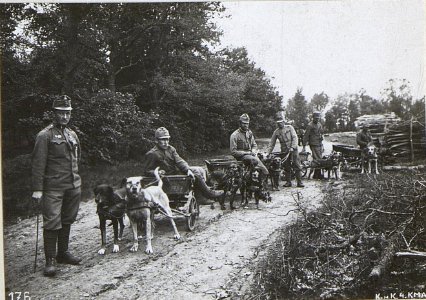 Zughunde in Krupy. Die Wagen sind abgeladen. (BildID 15691783)