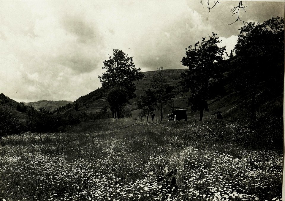 Zwinin.Nordhang, Anblick von Koziowa.