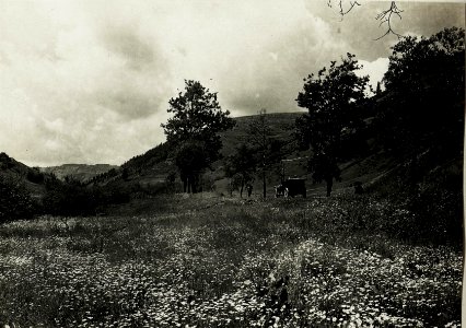 Zwinin.Nordhang, Anblick von Koziowa.