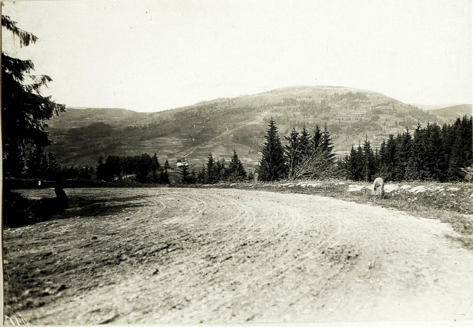 Zwinin. Südhang, Blick vom Strassenknie güdl.Orawa