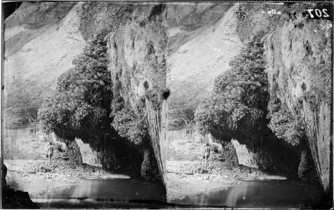ADAM ...A DRIPPING SPRING IN KANAB CANYON, 69 DEGREES FAHRENHEIT - NARA - 523972