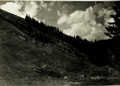 Zwinin. Nordhang3