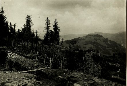 Zwinin.Rücken, Nordrand. (Eigene Stellung.)