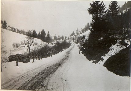 Zwinin, Strasse zwischen Zwinin und Ostrog im Orawatal