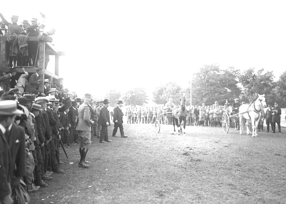 Zwei Teilnehmer des Trabrennens mit unterschiedlichen Gespannen - CH-BAR - 3239970