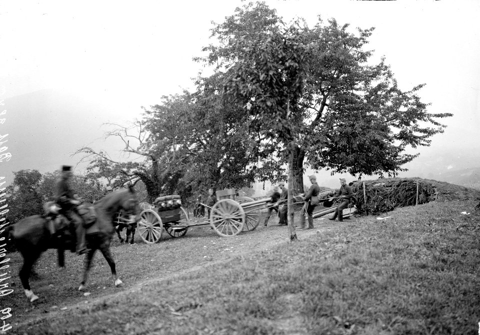 Zurücknehmen der Geschütze - CH-BAR - 3237439