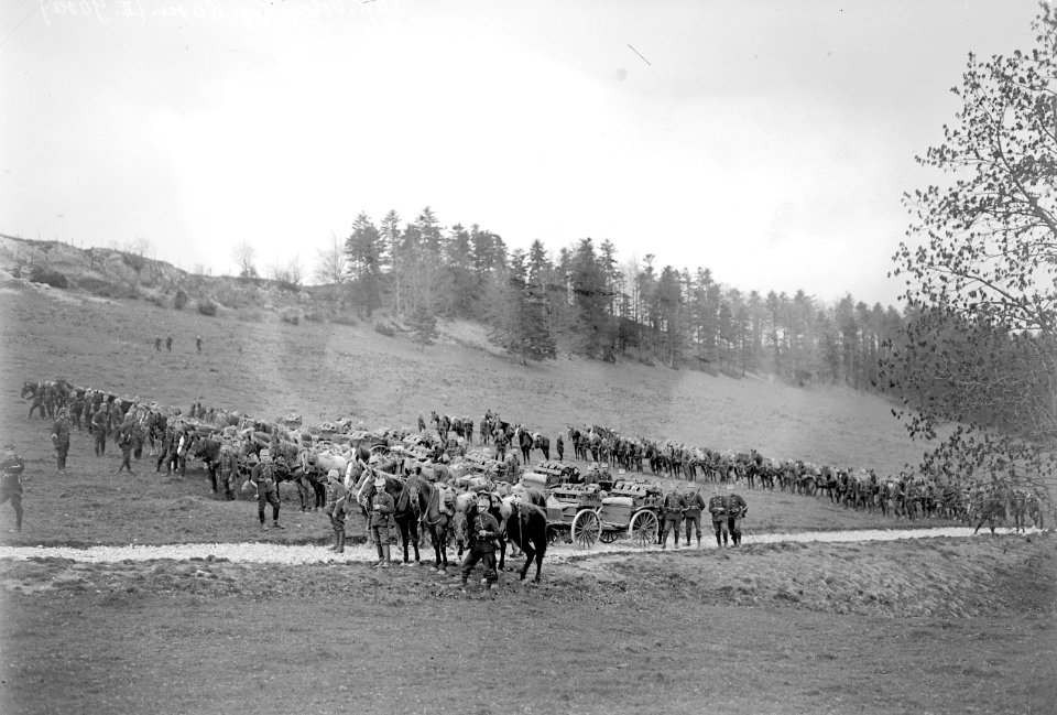 Zwei Kompanien von Infanterie Mitrailleuren in Sammelstellung - CH-BAR - 3239195