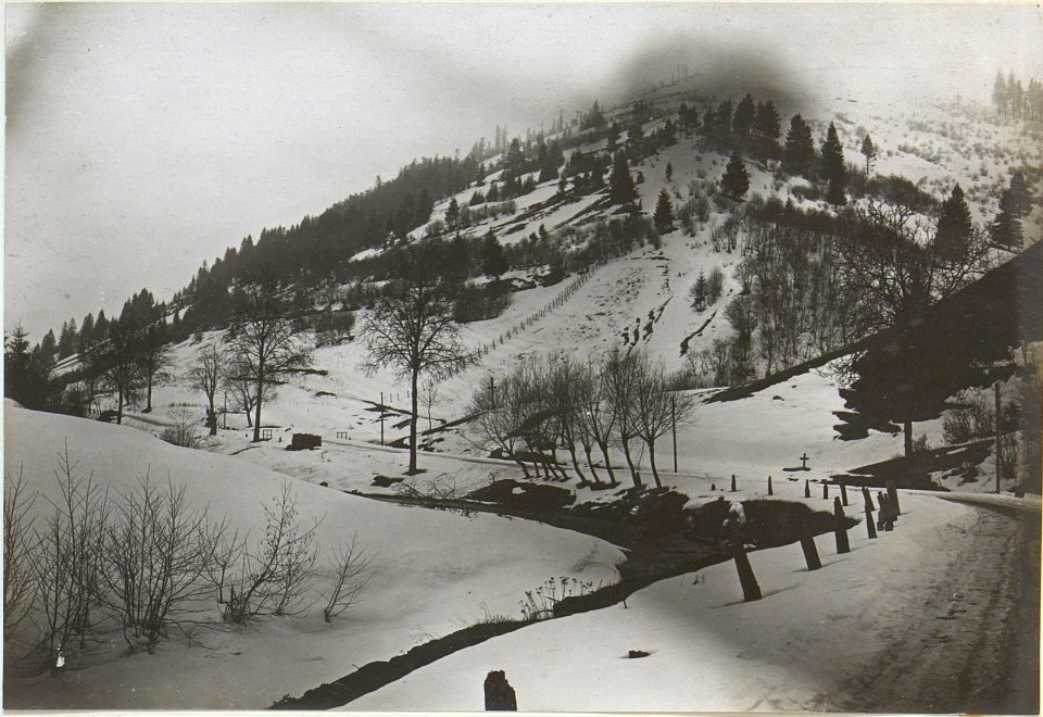 Zwinin Nordosthang,Blick von der Strasse südlich Koziowa