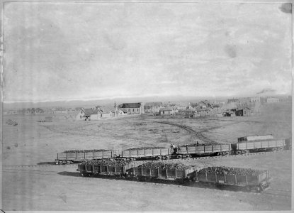 Birds Eye View of Winslow, looking East. Atlantic and Pacific Railway cars on converging tracks in the foreground... - NARA - 516374