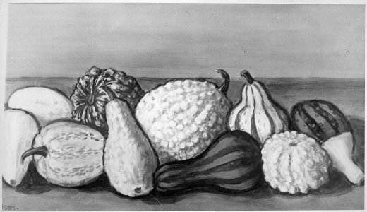 Gourds - NARA - 559145
