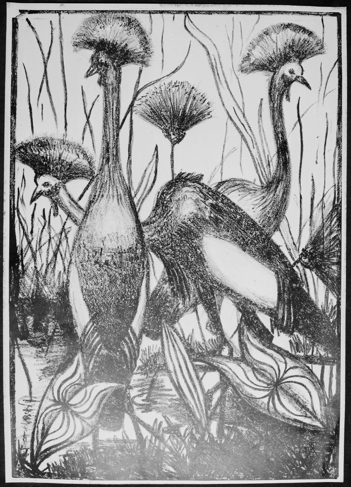 Crested Cranes - NARA - 558870